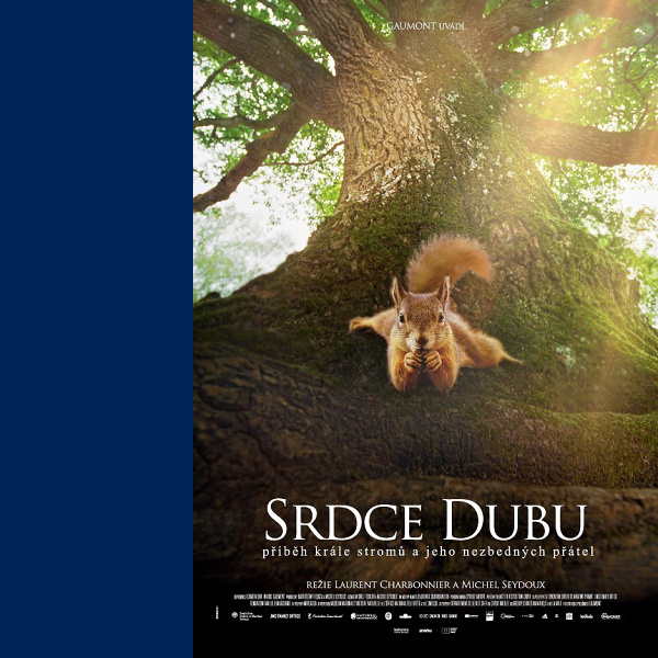 Srdce dubu