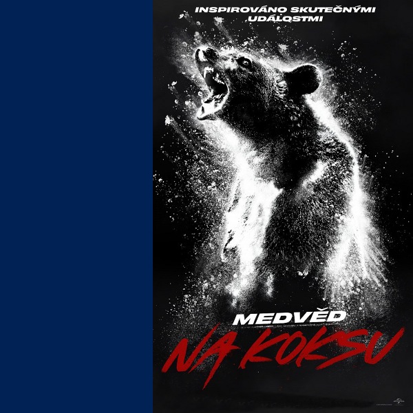Medvěd na koksu