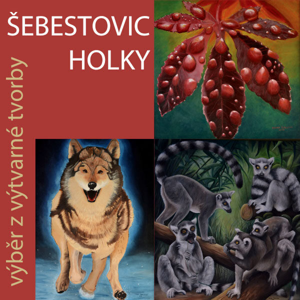 Plakát ŠEBESTOVIC HOLKY<br>výběr z výtvarné tvorby