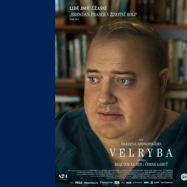Plakát Velryba