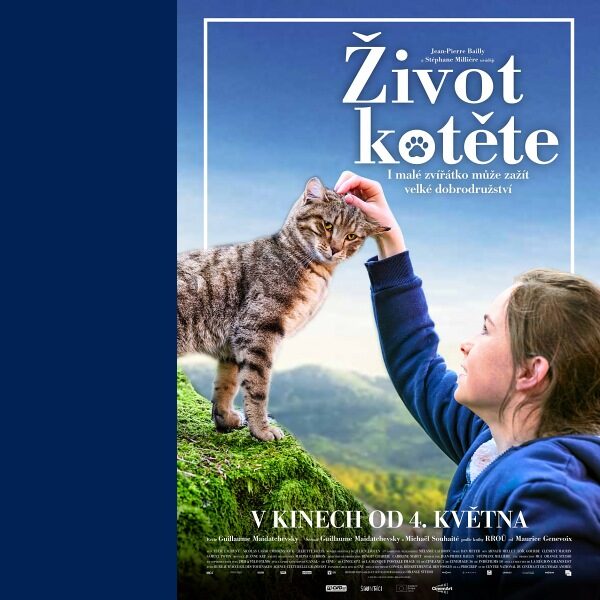 Plakát Život kotěte