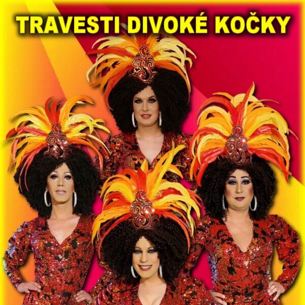 DIVOKÉ KOČKY – travesti show