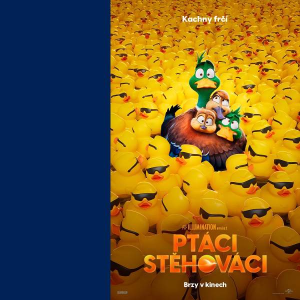 Ptáci stěhováci