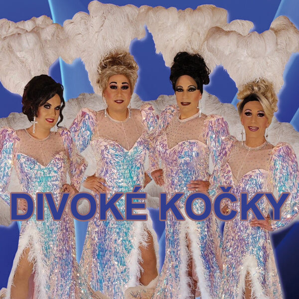 DIVOKÉ KOČKY