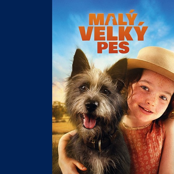 Malý velký pes