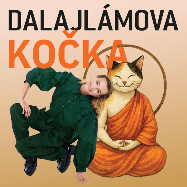 Plakát <b>DALAJLÁMOVA KOČKA – divadelní hra</b>