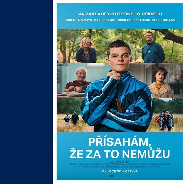 Plakát Přísahám, že za to nemůžu