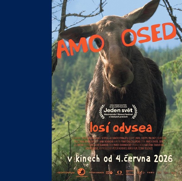 Plakát AMOOSED: Losí odysea