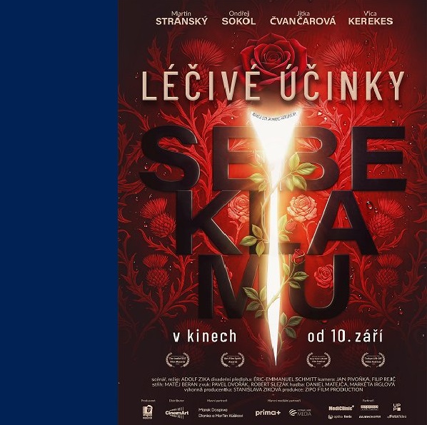 Plakát Léčivé účinky sebeklamu